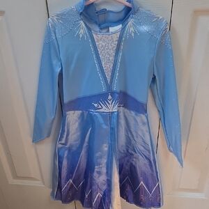 Disney Frozen Elsa Blue and Purple Costume